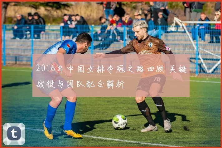 2016年中国女排夺冠之路回顾 关键战役与团队配合解析